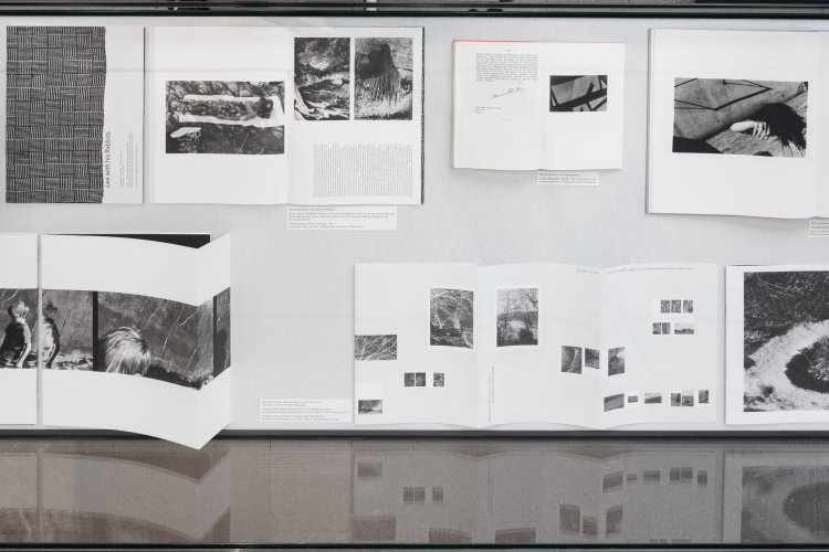 Silke Grossmann: Künstlerbücher aus den Jahren 1992 bis 2017. Ausstellung Bewegungen an der Peripherie, Ernst Barlach Haus 2017/18